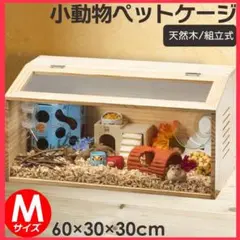 Item thumbnail for item 932df6ef-8dfa-4535-b18f-67add4376789