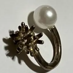 Item thumbnail for item 17155a7c-c126-412e-843d-49ad5b302851