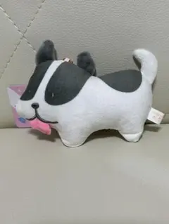 つぶらな瞳の犬と猫　ふれんちぶるどっぐ