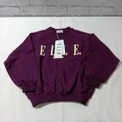 Item thumbnail for item 78caa349-ae41-4bf2-8ae5-41d6a41d4d2b