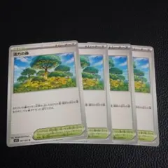 活力の森　4枚