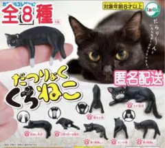 だつりょくくろねこ ガチャ 全８種 未開封匿名配送