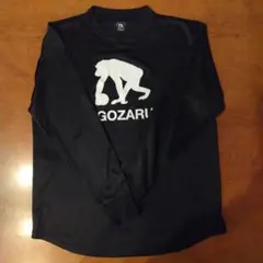 Item thumbnail for item 29a69605-d928-47f8-b79f-20cd58914faf