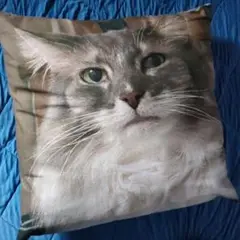 にゃんこノルウェージャンフォレストキャットの顔プリントクッション