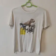 UNIQLO ユニクロ 恐竜デザイン Tシャツ 150