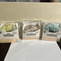 すみっコぐらし　1番くじ　F賞　ドーナツ型タオル　3点セット