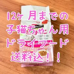 Item thumbnail for item 00bc3885-97a5-462b-ad55-86b59c919fde