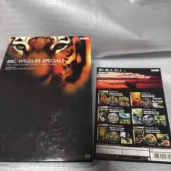 ワイルドライフ・スペシャル DVD-BOX〈6枚組〉