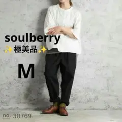【✨極美品✨】soulberry◎ニュアンスある！ふつうのパンツ 黒 M