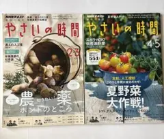 NHKテキスト やさいの時間 2018年・2019年2冊セット 趣味の園芸