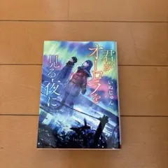 君がオーロラを見る夜に