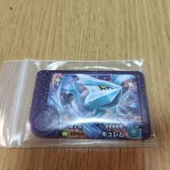 未使用新品スリーブ保管　キュレム　スーパートレジャー