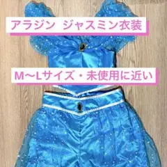 Item thumbnail for item b2d2f341-bbe2-43a5-aaaa-48cb98f24944