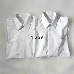 Item thumbnail for item 63e79571-ce5f-423b-8d7d-47660264c594