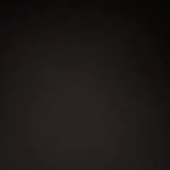いの様 専用