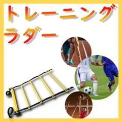 トレーニングラダー 黒と黄色 7メートル