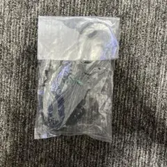 Item thumbnail for item 3755c897-467d-4307-be4c-bb2c2f544b63