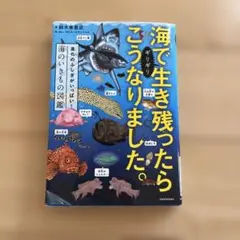 海でギリギリ生き残ったらこうなりました。 進化のふしぎがいっぱい!海のいきもの…のサムネイル
