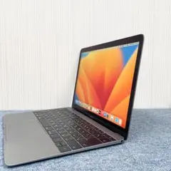 MacBook10,1 i7 充放電154 メモリ16GB SSD500GB
