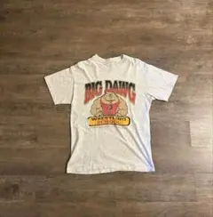 アメカジ　vintage BIG DAWG tシャツ