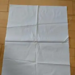 水色 無地生地 シミあり