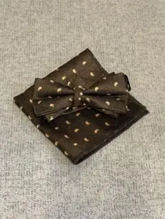 Item thumbnail for item c2209d1c-65a1-4be5-9de8-9ed1c24ebf01