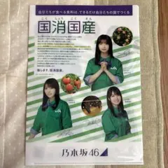 乃木坂46×JAグループ　クリアファイル