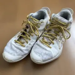 Item thumbnail for item 54f01b5a-5ae9-4857-8975-f0d9a47760eb