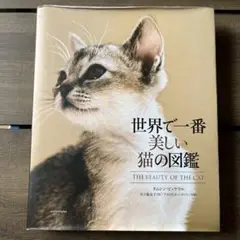 世界で一番美しい猫の図鑑