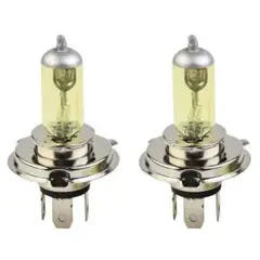 Item thumbnail for item a1fe8ec1-e205-489b-bbe1-fa408cda823d