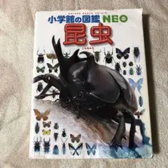 小学館の図鑑 neo 昆虫 こんちゅう
