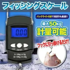 デジタルスケール 釣り 吊り下げ フィッシングスケール 軽量 荷物 魚釣り