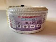 Item thumbnail for item f4a81dfa-841b-45f9-bac9-b4638c69caa0