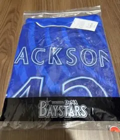 【新品未使用】横浜DeNAベイスターズ　ビジターユニ　#42ジャクソン　Ｌサイズ