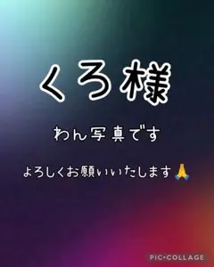 くろ様　犬写真