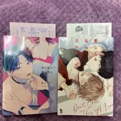 君の足元で愛を知る 愛してるなんて言わないで
