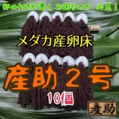 メダカ産卵床 10㎝ ★産助(さんすけ)2号10★ ※組立不要!金魚にも
