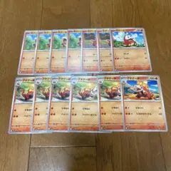 ポケモンカード　ホゲータ7枚　アチゲータ6枚