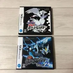 DS ソフト ポケモン ポケットモンスター ブラック