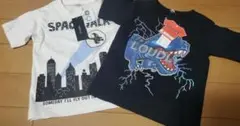 男の子　110 半袖Tシャツ　2枚セット　新品タグ付き　ホワイト　ブラック　恐竜
