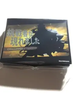 にじさんじ　御伽原江良　影　トレカスリーブ　未開封
