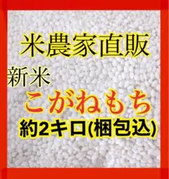 農家直販 最高級品 令和4年 こがねもち もち米 新米 一升餅 餅米 玄米 白米
