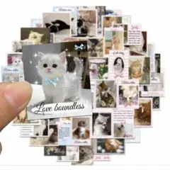 Item thumbnail for item 1b155eac-5c2c-426e-ae7f-b4ad6a6a4069