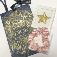 Dior 限定 非売品 ノベルティ