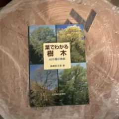 葉でわかる樹木 62種類の樹木