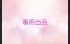専用出品