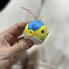 ぷちまる　はこふぐ　ハコフグ