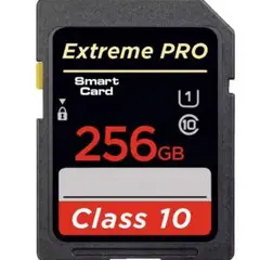 Extreme PRO 256GB SDカード Class 10