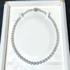 Item thumbnail for item 08fba253-83d3-4b55-89f6-9d15b9eac480