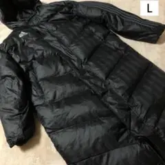 Item thumbnail for item 626e5303-a4ad-40f4-8d54-660727843ad2